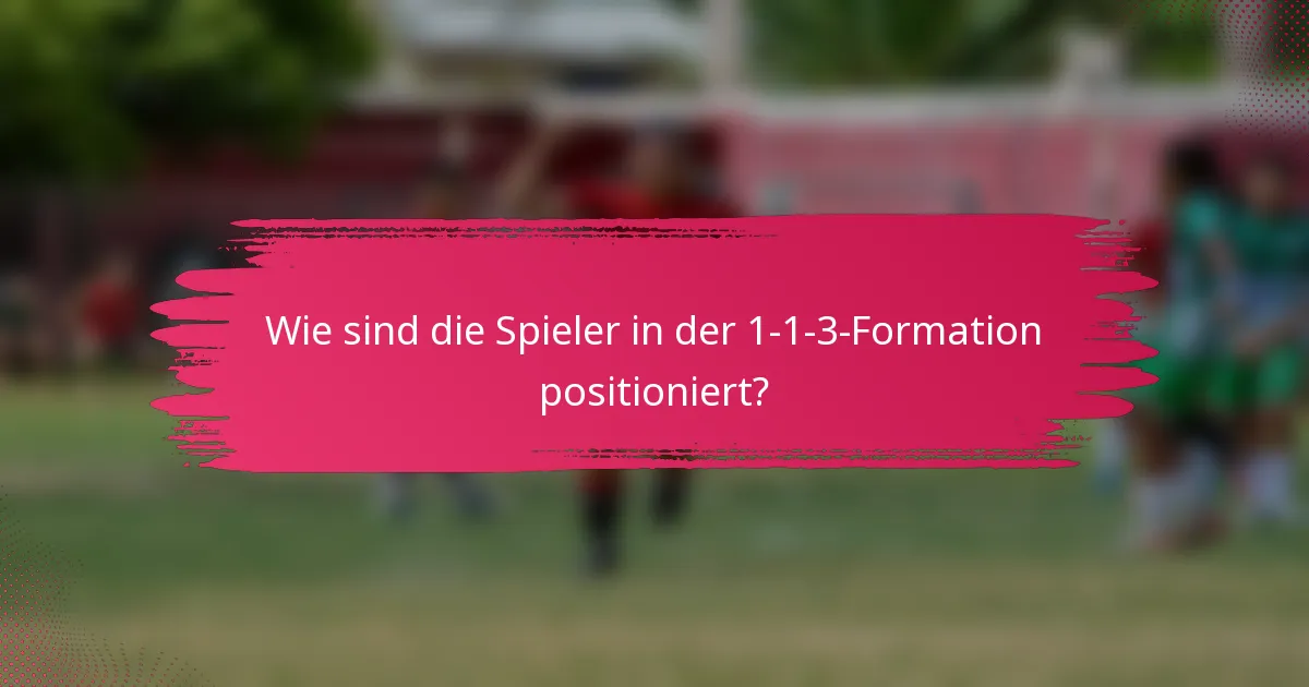 Wie sind die Spieler in der 1-1-3-Formation positioniert?